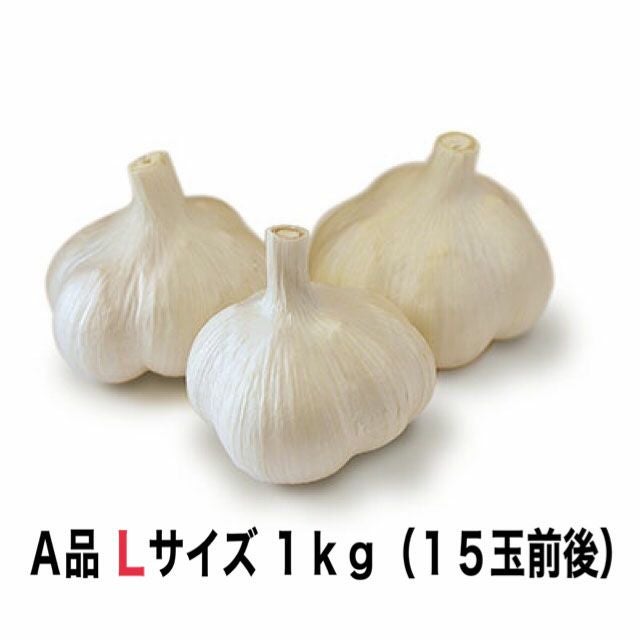 A品 十勝清水にんにく Lサイズ 1kg | JA十勝清水町ネットショップ